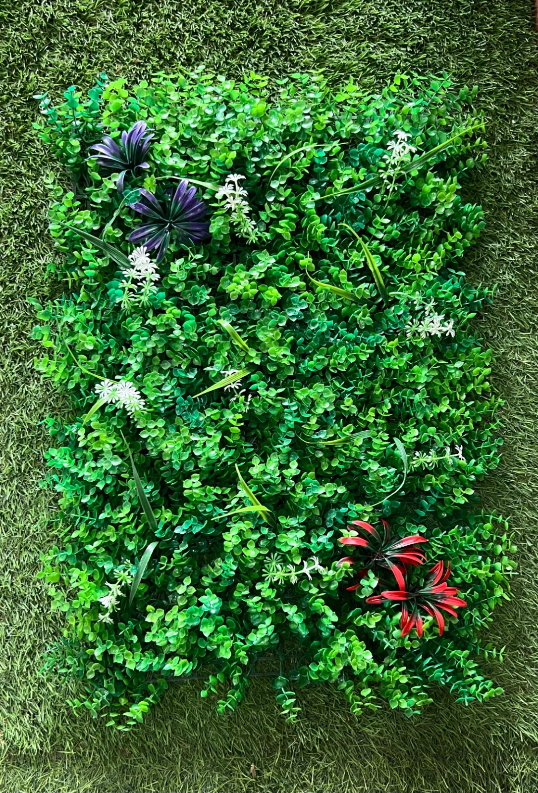 JARDÍN VERTICAL SAMBOROMBÓN