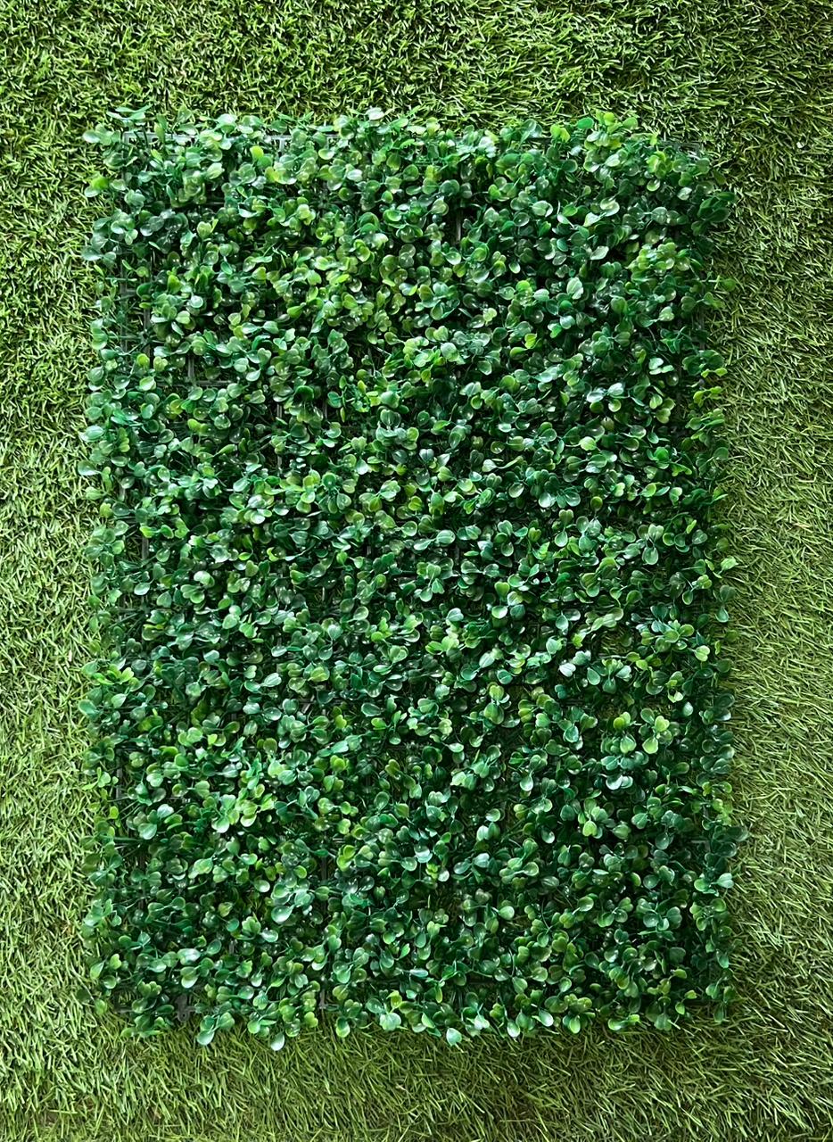 JARDIN VERTICAL DESEADO CLARO