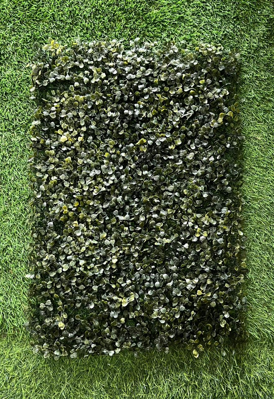 JARDIN VERTICAL DESEADO OSCURO
