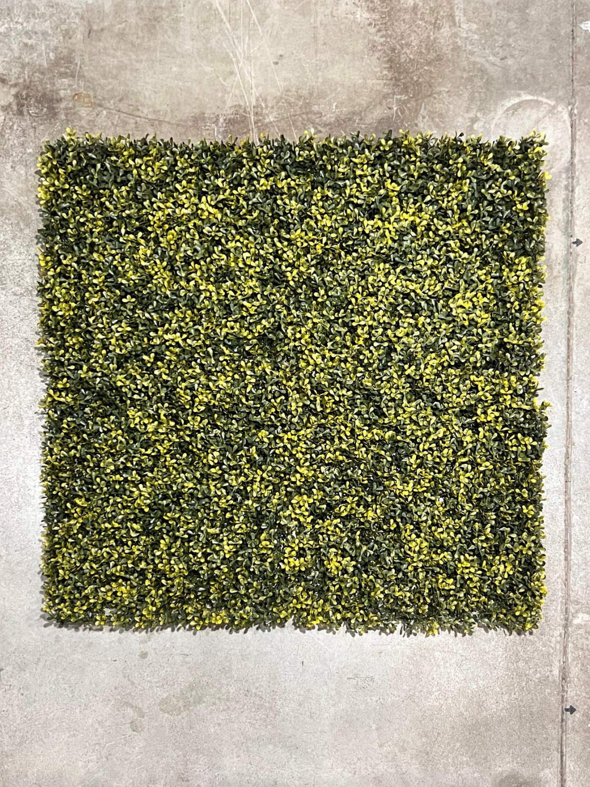 JARDÍN VERTICAL IRUYA