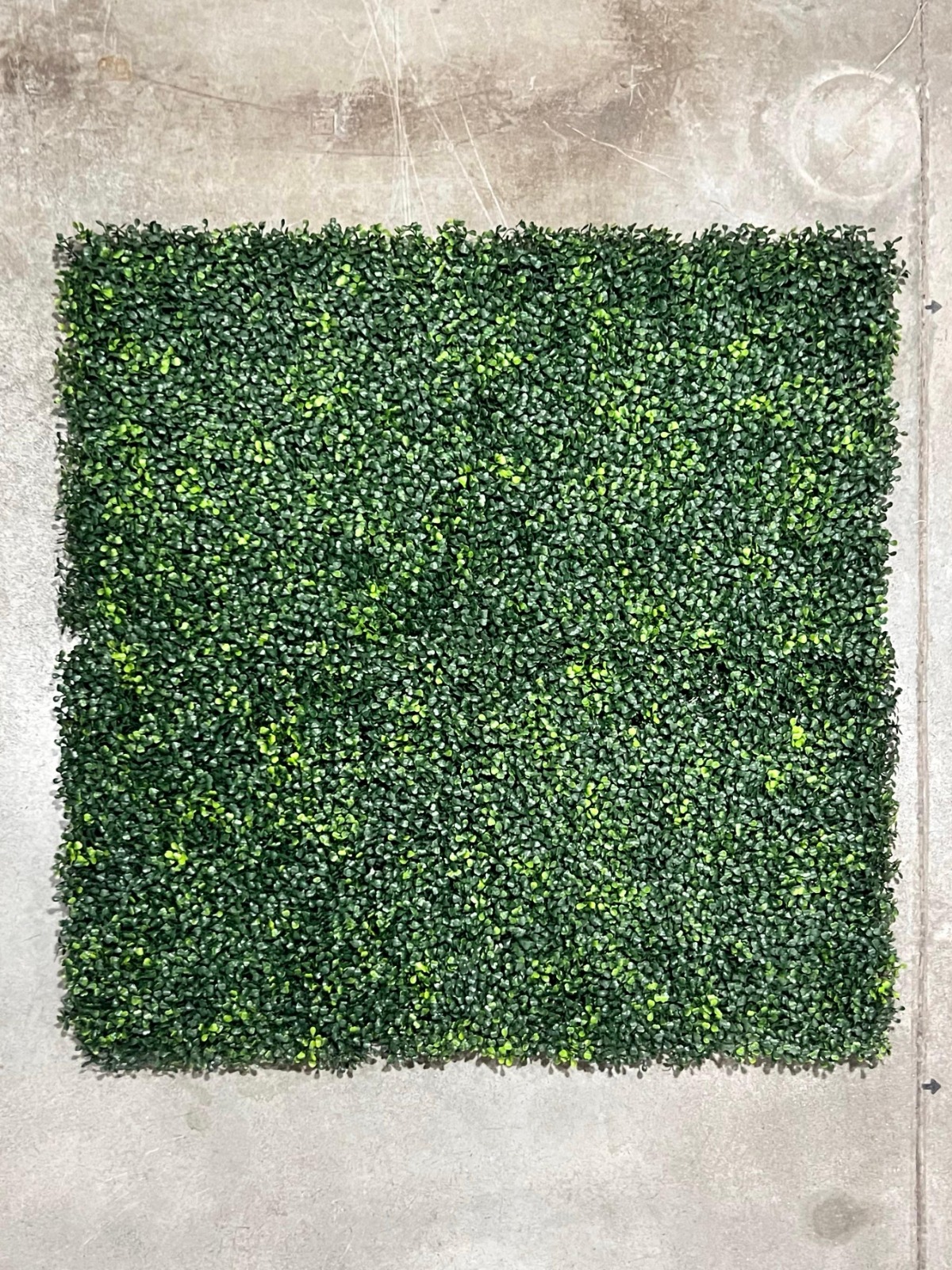 JARDÍN VERTICAL ATUEL