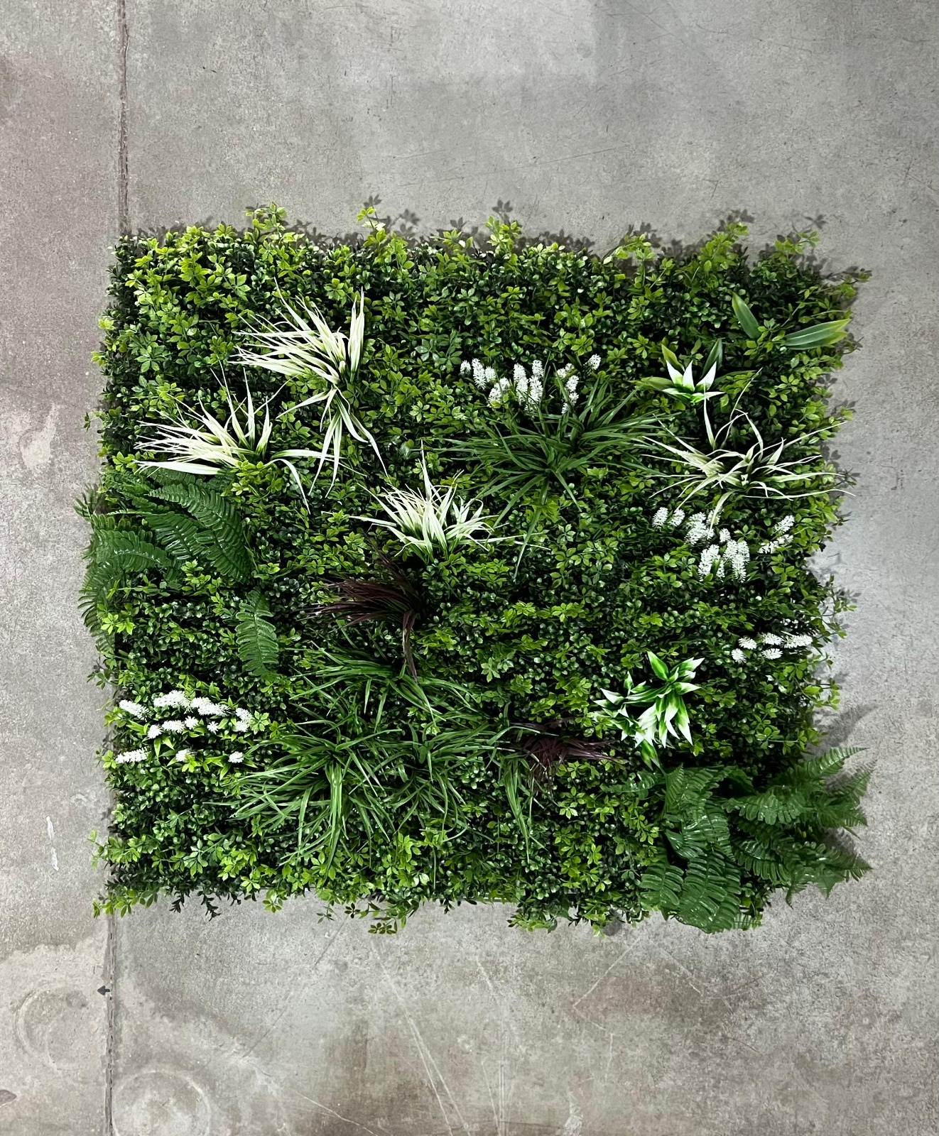 JARDÍN VERTICAL LACAR